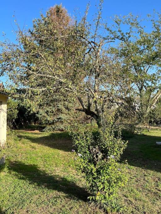 Holiday home Coutrillonne Pres St Emilion Clim Salon *
